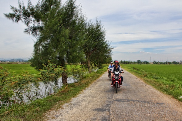Motorbiking through the rice fields outside of Hue Motorbiking through the rice fields outside of Hue